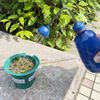 Squeeze Soft Sprayer Bottle for Watering Seedlings And Sprouts